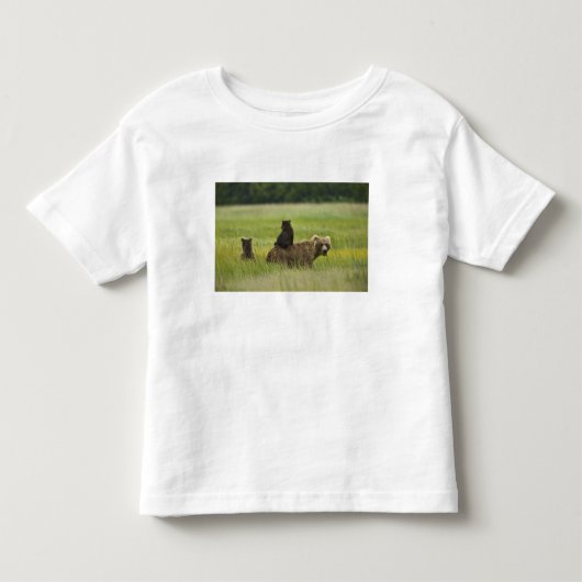 アメリカ、アラスカ州、レイククラーク国立公園 トドラーTシャツ (正面)