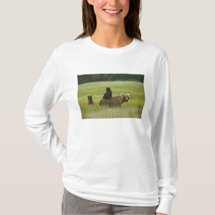 アメリカ、アラスカ州、レイククラーク国立公園 Tシャツ
