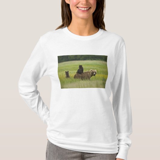 アメリカ、アラスカ州、レイククラーク国立公園 Tシャツ (正面)