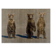 アメリカ。アラスカ州.沿岸性褐色熊の子牛 カッティングボード (正面)