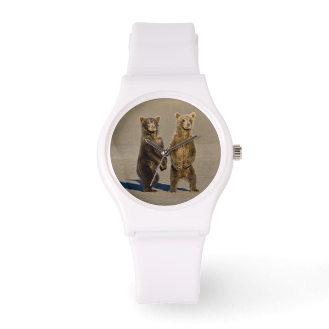 アメリカ。アラスカ州.沿岸性褐色熊の子牛 腕時計 (正面)
