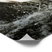 アメリカ、アラスカ、アナンクリーク。黒熊の接写 ポスター (角)