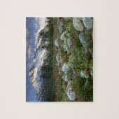 アメリカ、アラスカ、アルセク·タッシェンシニ·ウィルダネス。表示 ジグソーパズル (縦)