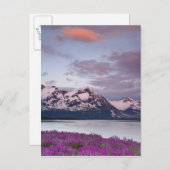 アメリカ、アラスカ、アレック川渓谷。アルセクの表示 ポストカード (正面/裏面)