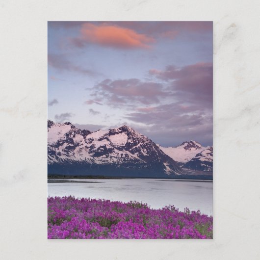 アメリカ、アラスカ、アレック川渓谷。アルセクの表示 ポストカード (正面)