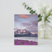 アメリカ、アラスカ、アレック川渓谷。アルセクの表示 ポストカード (スタンド正面)