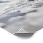 アメリカ、アラスカ、カトマイ国立公園、クカク湾、 ポスター (角)