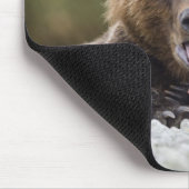 アメリカ、アラスカ、カトマイ国立公園、クカク湾、 マウスパッド (コーナー)