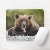 アメリカ、アラスカ、カトマイ国立公園、クカク湾、 マウスパッド (マウス)
