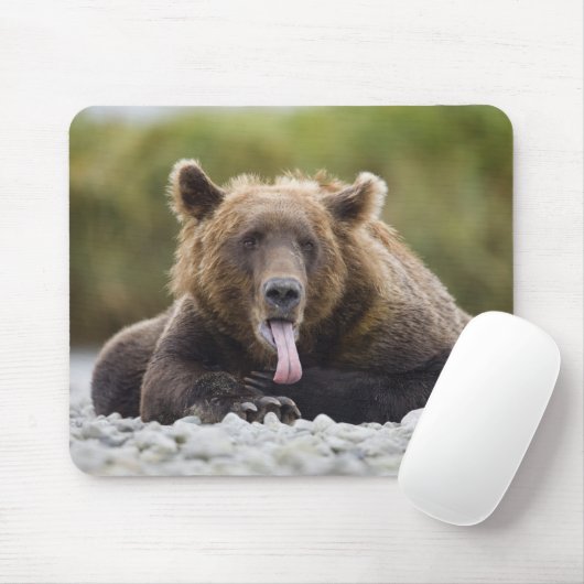 アメリカ、アラスカ、カトマイ国立公園、クカク湾、 マウスパッド (マウス)