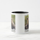 アメリカ、アラスカ、カトマイ国立公園、クカク湾、 マグカップ (中央)