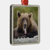 アメリカ、アラスカ、カトマイ国立公園、クカク湾、 メタルオーナメント (右)