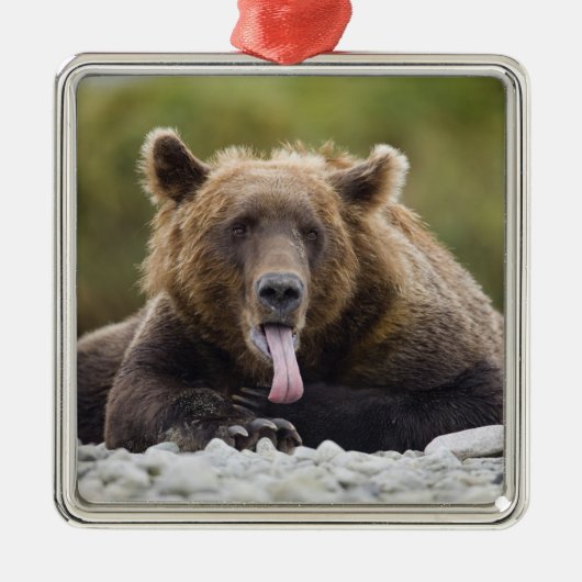 アメリカ、アラスカ、カトマイ国立公園、クカク湾、 メタルオーナメント (正面)