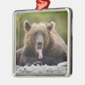 アメリカ、アラスカ、カトマイ国立公園、クカク湾、 メタルオーナメント (左)