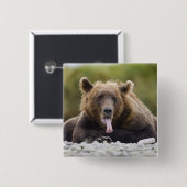 アメリカ、アラスカ、カトマイ国立公園、クカク湾、 缶バッジ (正面&裏面)