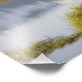 アメリカ、アラスカ、カトマイ国立公園、ブラウンベア フォトプリント            (角)