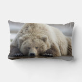 アメリカ、アラスカ、カトマイ国立公園、ブラウンベア ランバークッション (裏面)