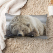 アメリカ、アラスカ、カトマイ国立公園、ブラウンベア ランバークッション (ブランケット)