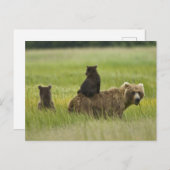 アメリカ、アラスカ、クラーク湖国立公園 ポストカード (正面/裏面)