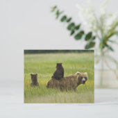 アメリカ、アラスカ、クラーク湖国立公園 ポストカード (スタンド正面)