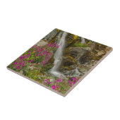 アメリカ、アラスカ、グレーシアベイ国立公園。コガネ タイル (側面)