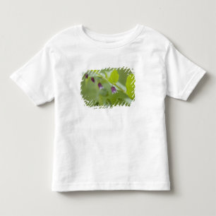 アメリカ、アラスカ、グレーシアベイ国立公園。 トドラーTシャツ
