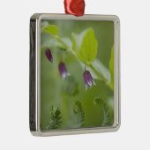 アメリカ、アラスカ、グレーシアベイ国立公園。 メタルオーナメント (右)