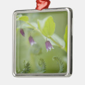 アメリカ、アラスカ、グレーシアベイ国立公園。 メタルオーナメント (左)