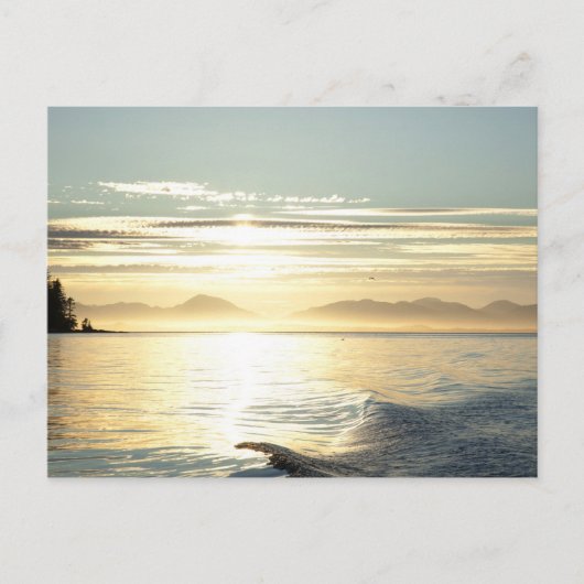 アメリカ、アラスカ、ケチカン近くの南東、日没。 ポストカード (正面)