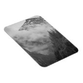 アメリカ、アラスカ、ジュノー、熱帯雨林 マグネット (右側)