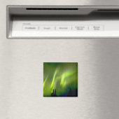 アメリカ、アラスカ、チェナ熱春。オーロラ3 マグネット (インサイチュ (食洗機))