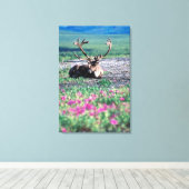 アメリカ、アラスカ、デナリ国立公園、カリブー キャンバスプリント (インサイチュ (ウッドフロア))