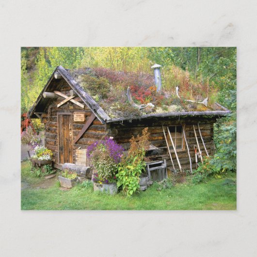 アメリカ、アラスカ、デナリ国立公園、カンティシュナ。 ポストカード (正面)