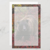 アメリカ、アラスカ、デナリ国立公園。グリズリーベア 便箋 (正面/裏面)