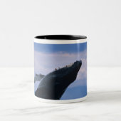 アメリカ、アラスカ、トンガス国有林、背中 ツートーンマグカップ (中央)