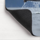 アメリカ、アラスカ、トンガス国有林、背中 マウスパッド (コーナー)