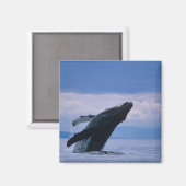 アメリカ、アラスカ、トンガス国有林、背中 マグネット (正面/裏面)