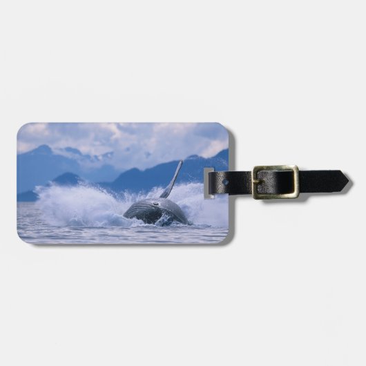 アメリカ、アラスカ、トンガス国有林、背中 ラゲッジタグ (正面横)