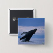 アメリカ、アラスカ、トンガス国有林、背中 缶バッジ (正面&裏面)