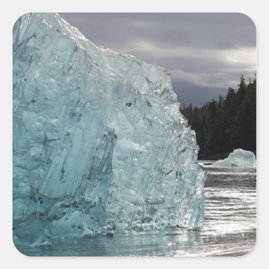 アメリカ、アラスカ、トンガス国立森林、トレーシー2 スクエアシール (正面)