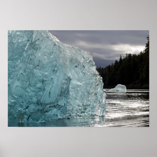 アメリカ、アラスカ、トンガス国立森林、トレーシー2 ポスター (正面)