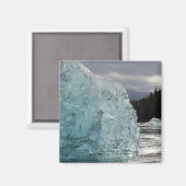 アメリカ、アラスカ、トンガス国立森林、トレーシー2 マグネット (正面/裏面)