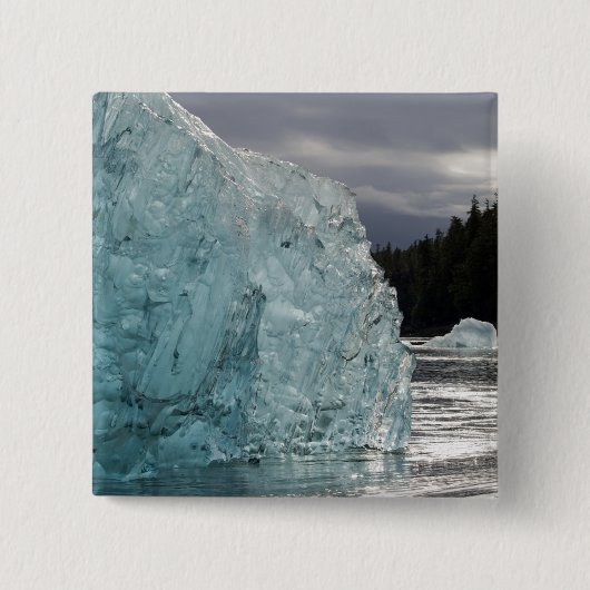 アメリカ、アラスカ、トンガス国立森林、トレーシー2 缶バッジ (正面)