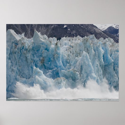 アメリカ、アラスカ、トンガス国立森林、トレーシー ポスター (正面)