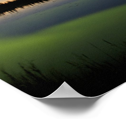 アメリカ、アラスカ、北極圏、ウミガメ。100 ポスター (角)