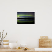 アメリカ、アラスカ、北極圏、ウミガメ。100 ポスター (キッチン)