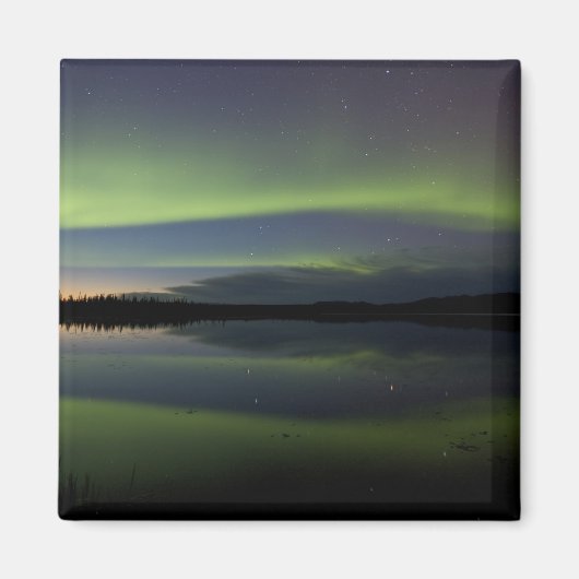 アメリカ、アラスカ、北極圏、ウミガメ。100 マグネット (正面)