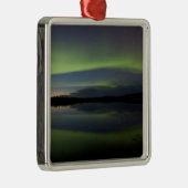 アメリカ、アラスカ、北極圏、ベトルズ次の操作 メタルオーナメント (右)