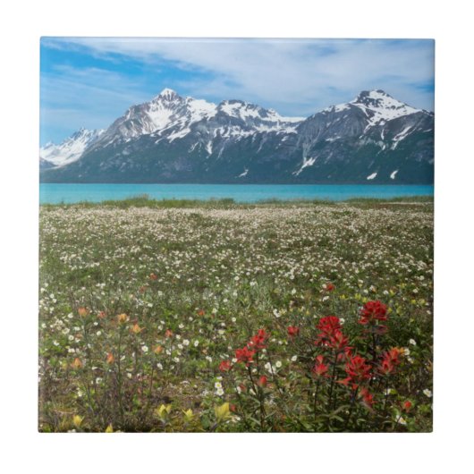 アメリカ、アラスカ、氷河ベイ国立公園2 タイル (正面)