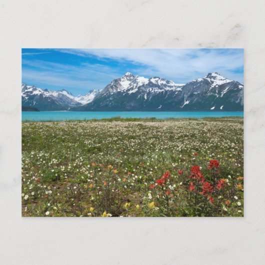 アメリカ、アラスカ、氷河ベイ国立公園2 ポストカード (正面)